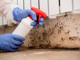 Why You Should Choose Our Mold Remediation Services in Oglesby, IL